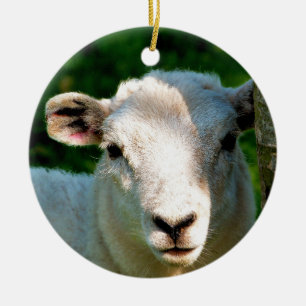 KUSTBEELDING KERAMISCH ORNAMENT