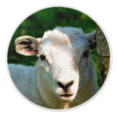 KUSTBEELDING KERAMISCHE KNOP (Voorkant)