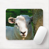 KUSTBEELDING MUISMAT (Met muis)