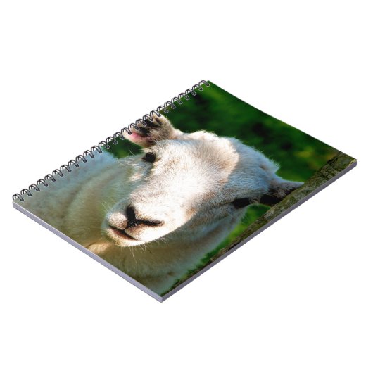 KUSTBEELDING NOTITIEBOEK (Linkerzijde)