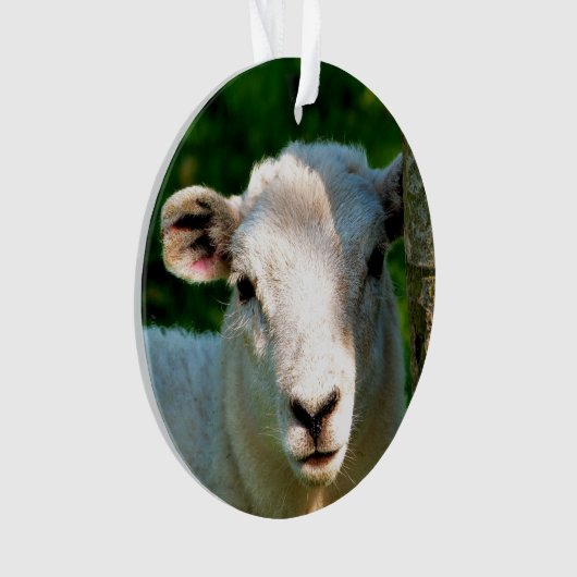 KUSTBEELDING ORNAMENT (voorkant)