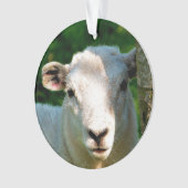 KUSTBEELDING ORNAMENT (voorkant)