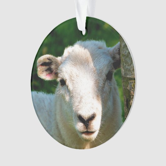 KUSTBEELDING ORNAMENT (voorkant)