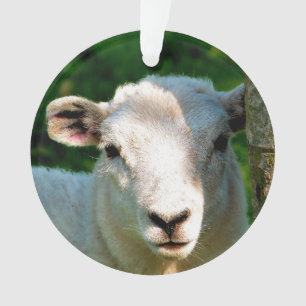 KUSTBEELDING ORNAMENT
