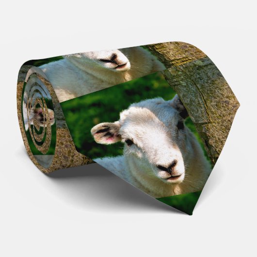 KUSTBEELDING STROPDAS (Opgerold)