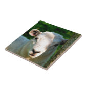 KUSTBEELDING TEGELTJE (Zijkant)