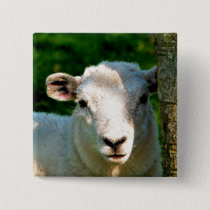 KUSTBEELDING VIERKANTE BUTTON 5,1 CM