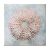 Kustblauw en perzikkleurig Zee Tegeltje (Voorkant)