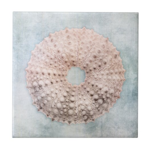 Kustblauw en perzikkleurig Zee Tegeltje (Voorkant)