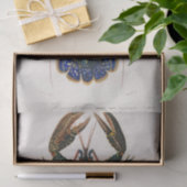 kustblauwe langoesten waterverf tissuepapier (Geschenk)