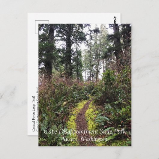 Kustbos, ontgoocheling Kaapverdië, WA Briefkaart (Voorkant / Achterkant)