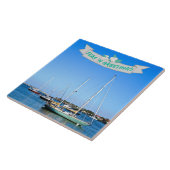 Kustboten op de baai van Zeeen in de groet Tegeltje (Zijkant)