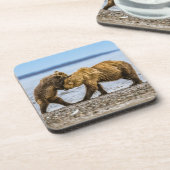 Kustbruine beren bier onderzetter (Linkerzijde)