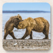 Kustbruine beren bier onderzetter (Voorkant)