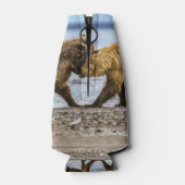 Kustbruine beren flesjeskoeler (Achterkant)