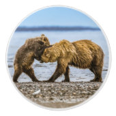 Kustbruine beren keramische knop (Voorkant)