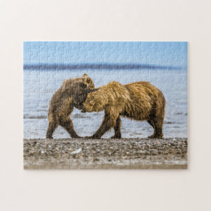 Kustbruine beren legpuzzel