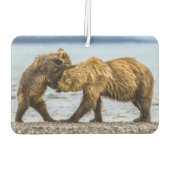 Kustbruine beren luchtverfrisser (Achterkant)