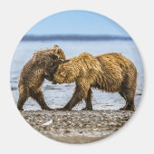 Kustbruine beren magneet (Voorkant)