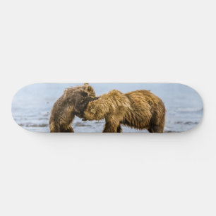 Kustbruine beren skateboard