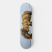 Kustbruine beren skateboard (Voorkant)