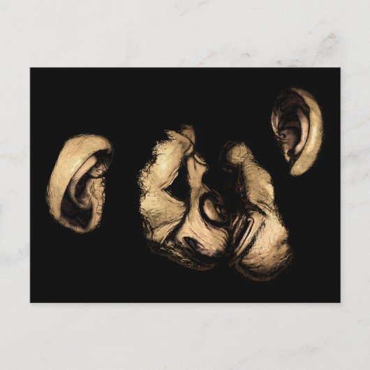 kustchimps briefkaart (Voorkant)