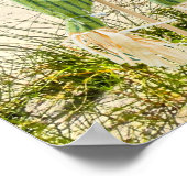 Kusteiland Sanibel Florida Strand & vogelverschrik Poster (Hoek)