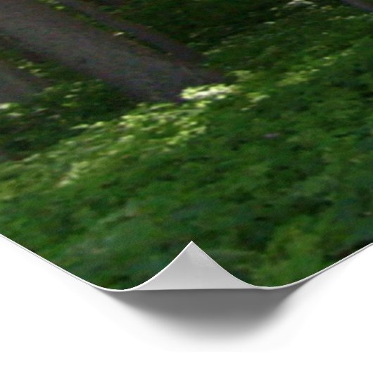 Küstenschutzwald. Poster (Hoek)