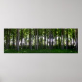 Küstenschutzwald. Poster (Voorkant)