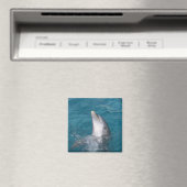 Kustflessendolfijn Magneet (Insitu (Vaatwasser))