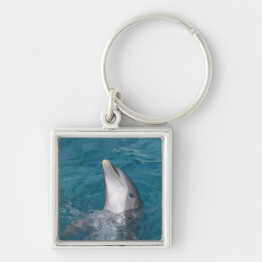 Kustflessendolfijn Sleutelhanger (Voorkant)