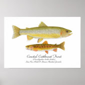Kustforel Poster van de Cutkeelforel (Voorkant)