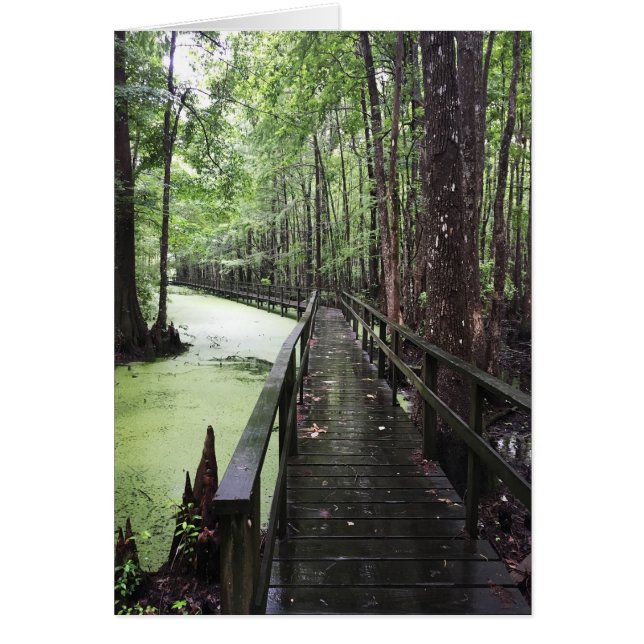 kustgebied (Voorkant)