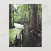 kustgebied briefkaart (Voorkant)