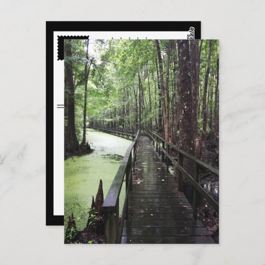 kustgebied briefkaart (Voorkant / Achterkant)