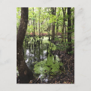 kustgebied briefkaart