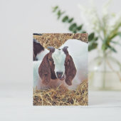 KUSTGOAT BRIEFKAART (Staand voorkant)