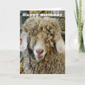 KUSTGOAT KAART (Voorkant)