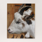 KUSTGOAT LEGPUZZEL (Verticaal)