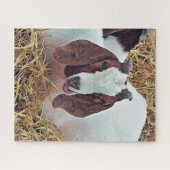 KUSTGOAT LEGPUZZEL (Horizontaal)