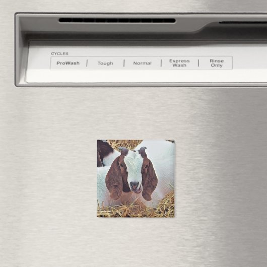 KUSTGOAT MAGNEET (Insitu (Vaatwasser))