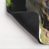 KUSTGOAT MUISMAT (Hoek)