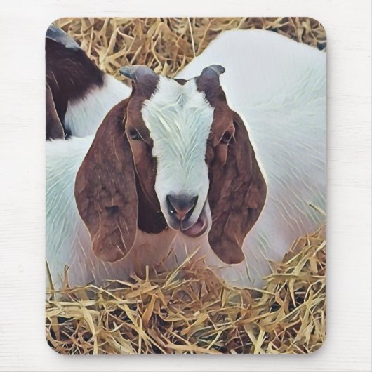 KUSTGOAT MUISMAT (Voorkant)