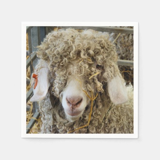 KUSTGOAT SERVET (Voorkant)