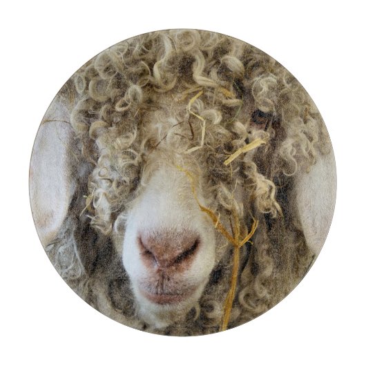 KUSTGOAT SNIJPLANK (Voorkant)