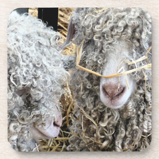 KUSTGOTEN BIER ONDERZETTER (Voorkant)