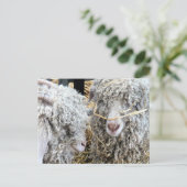 KUSTGOTEN BRIEFKAART (Staand voorkant)