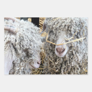 KUSTGOTEN INPAKPAPIER VEL