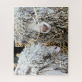 KUSTGOTEN LEGPUZZEL (Verticaal)