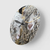 KUSTGOTEN   RONDE KLOK (Hoek)